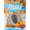 Fossils - Library Binding