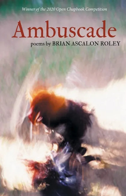 Ambuscade - Paperback