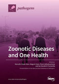 Zoonotic Diseases and One Health - Paperback