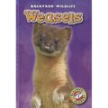 Weasels - Library Binding