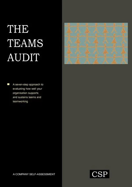 The Teams Audit - Paperback