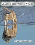 Charting Yellowstone Wolves - Paperback