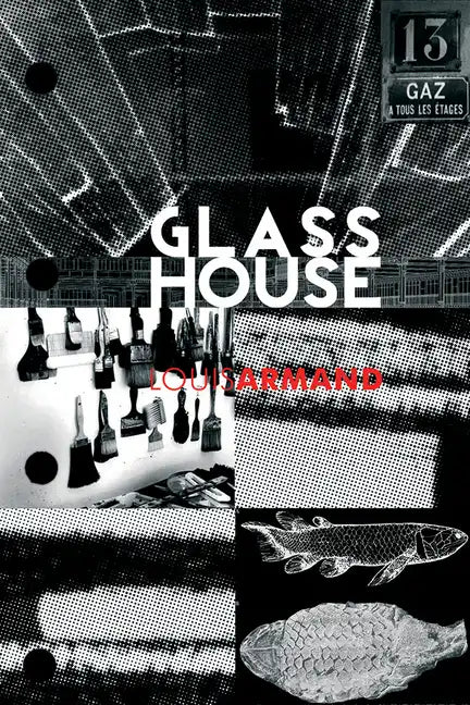 GlassHouse - Paperback