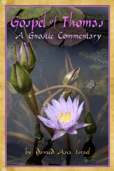 Gospel of Thomas: A Gnostic Commentary - Paperback