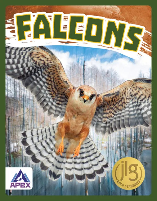 Falcons - Paperback