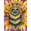 The Star Father's Gift: A Story from the Bees - Hardcover