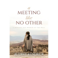 A Meeting Like No Other: A Modern-Day Woman at the Well - Paperback