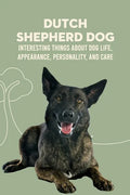 Dutch Shepherd Dog: Interesting Things about Dog Life, Appearance, Personality, And Care: Reference Book About Dutch Shepherd Dog - Paperback
