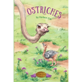 Ostriches - Paperback