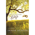 Sweetwater Gap - Paperback
