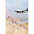 Flight 370: Disappearance of Malaysia Airliner - Paperback