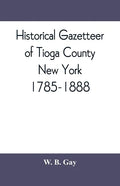 Historical gazetteer of Tioga County, New York, 1785-1888 - Paperback