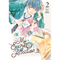 My Secret Affection Vol. 2 - Paperback