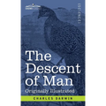The Descent of Man: and Selection in Relation to Sex - Hardcover