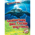 Leatherback Sea Turtle Migration - Library Binding