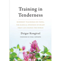 Training in Tenderness: Buddhist Teachings on Tsewa, the Radical Openness of Heart That Can Change the World - Paperback