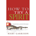 How to Try a Spirit: Identify Evil Spirits and the Fruit They Manifest - Paperback