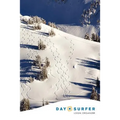 Day Surfer Login Organizer (Fresh Tracks on the Mountain) - Paperback