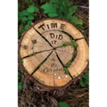 Time Did It: A Family Saga - Paperback