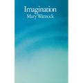 Imagination - Paperback