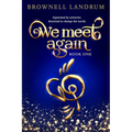 We Meet Again: An epic reincarnation mystery about a famous couple reunited to change the world. - Paperback