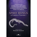 Spirit Beings in European Folklore 2: 228 descriptions - Germany, Austria, Alpine regions, Switzerland, Netherlands, Flanders, Luxembourg, Lithuania, - Paperback
