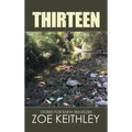 Thirteen: Stories for Earth Travelers - Hardcover