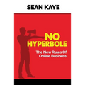 No Hyperbole: The New Rules Of Online Business - Paperback