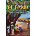 The Adventures of Bamo: From Struggles and Pains to Hopes and Gains - Paperback