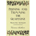 Pruning and Trimming the Grapevine - Selected Articles - Paperback