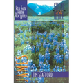 James: Real Faith for the Real World - Paperback