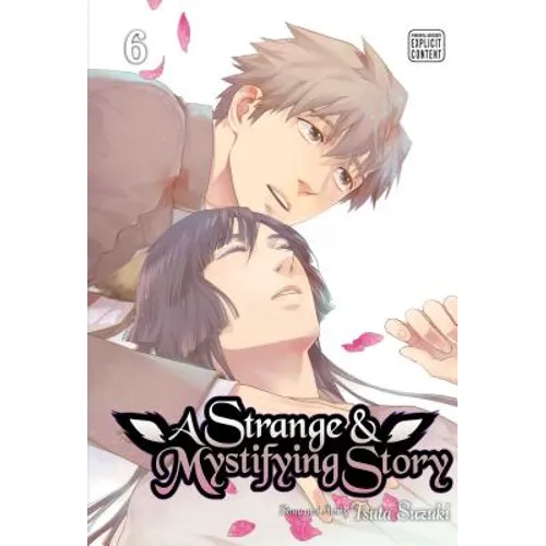 A Strange & Mystifying Story, Vol. 6 - Paperback