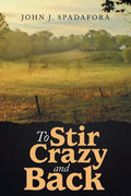 To Stir Crazy and Back - Paperback