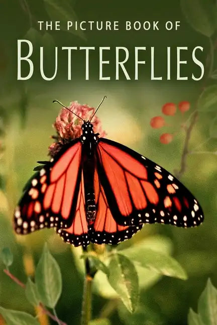 The Picture Book of Butterflies: A Gift Book for Alzheimer's Patients and Seniors with Dementia - Paperback