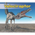Velociraptor - Paperback