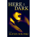 Here in the Dark - Library Binding