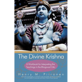 The Divine Krishna: A Workbook for Interpreting the Teachings in the Bhagavad Gita - Paperback