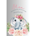 Elsa: The Elephant Who Loves Roller Derby - Paperback