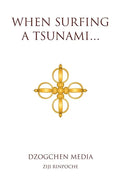 When Surfing a Tsunami . . . - Paperback