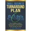 Small Business Turnaround Plan: Your Complete Guide to Getting Back to Profitability While Saving Your Sanity - Paperback