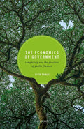 Economics of Government: Complexity and the Practice of Public Finance - Hardcover