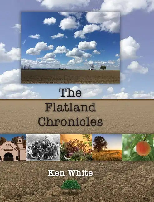 The Flatland Chronicles - Hardcover
