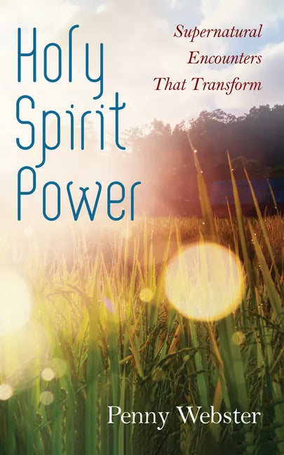Holy Spirit Power: Supernatural Encounters That Transform - Paperback