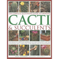 The Complete Illustrated Guide to Growing Cacti & Succulents: The Definitive Practical Reference on Identification, Care and Cultivation, with a Direc - Paperback