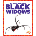Black Widows - Library Binding