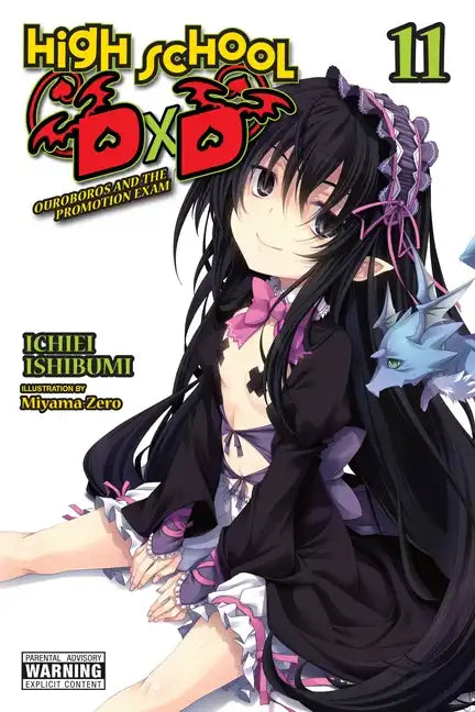 High School DXD, Vol. 11 (Light Novel): Volume 11 - Paperback