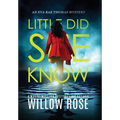 Little Did She Know: An intriguing, addictive mystery novel - Hardcover