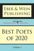 Best Poets of 2020: Vol. 3 - Paperback