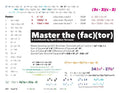 Master the Factor - Paperback
