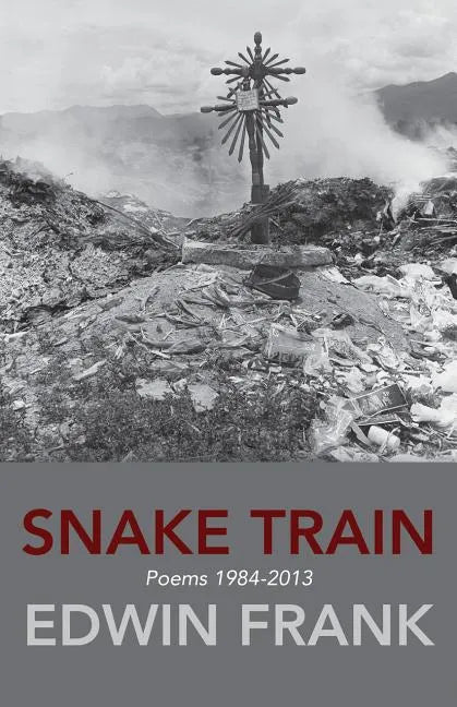 Snake Train - Paperback